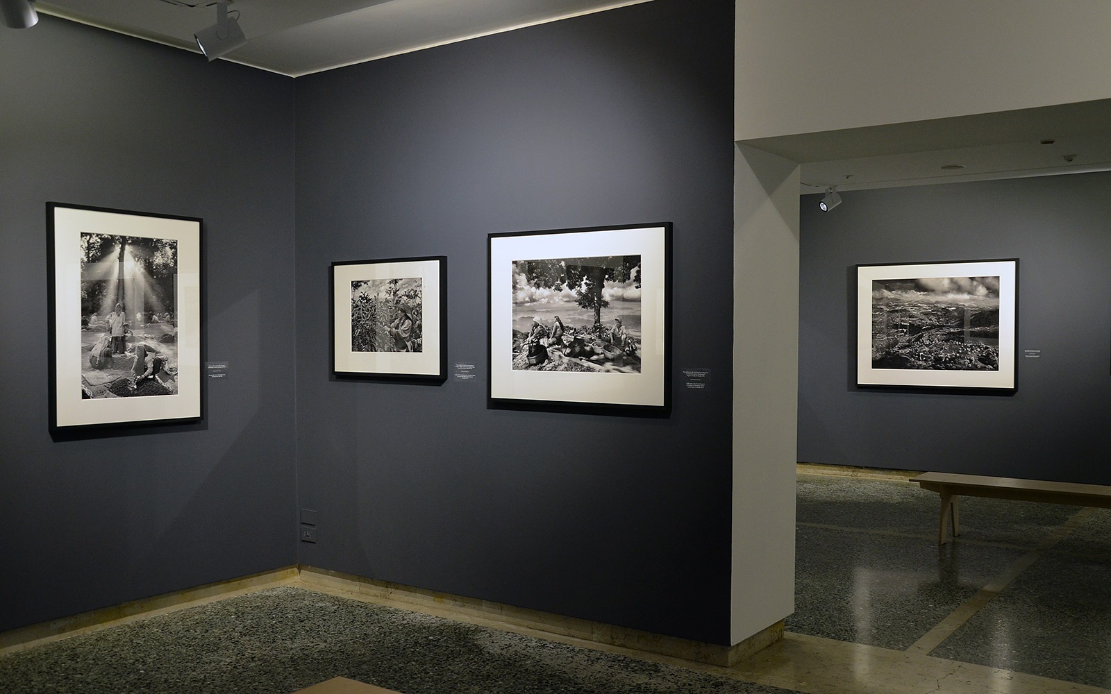 Sebastiao Salgado Profumo di Sogno