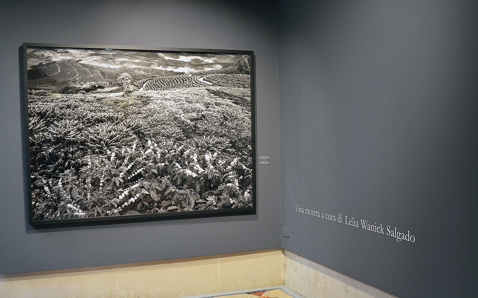 Sebastiao Salgado Profumo di Sogno