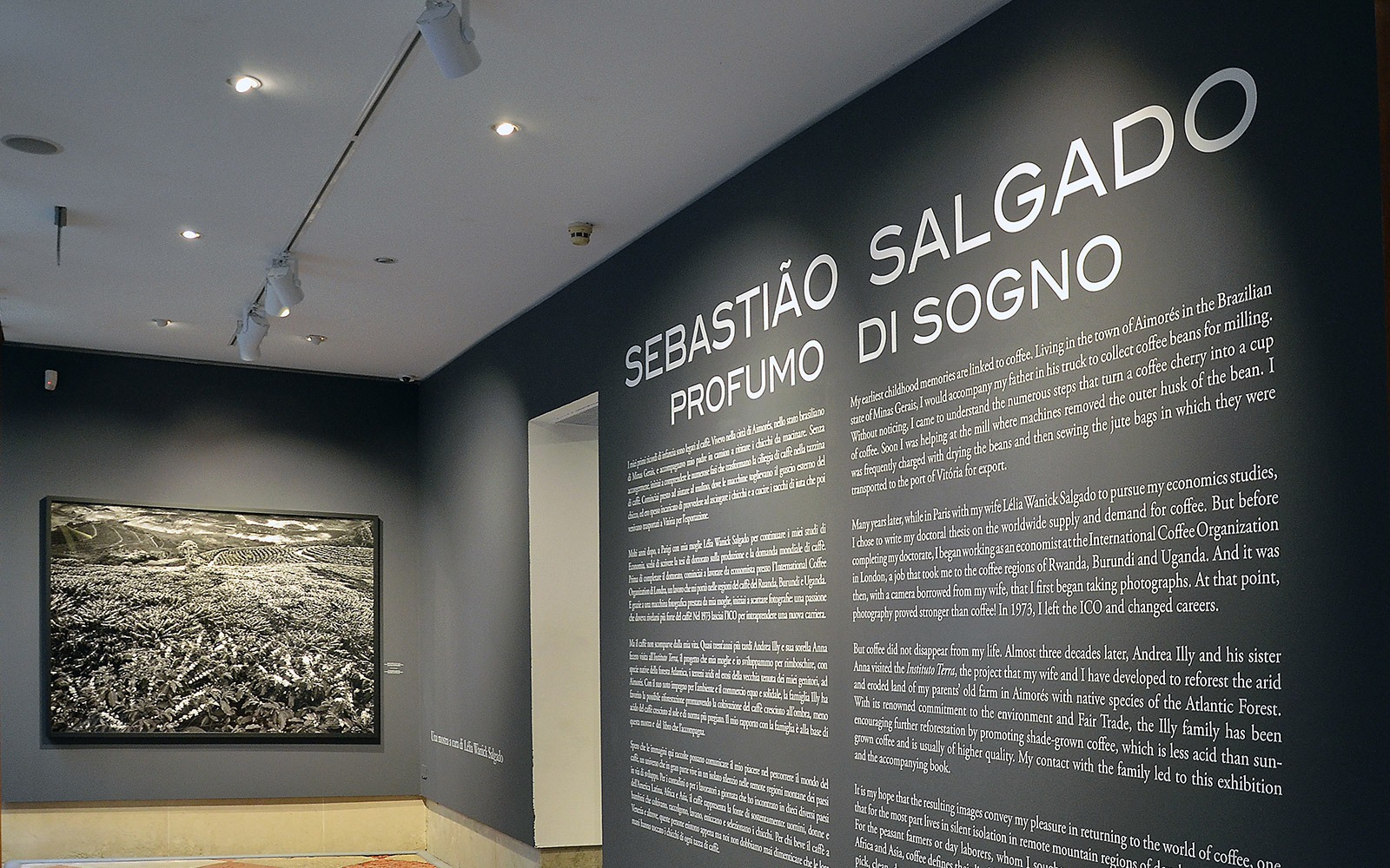 Sebastiao Salgado Profumo di Sogno