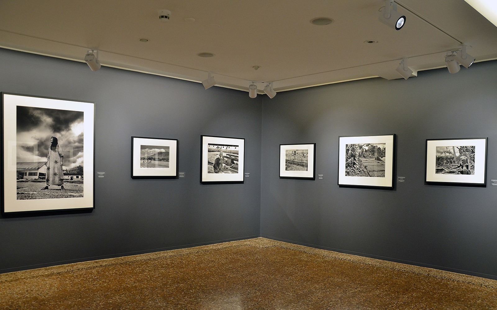 Sebastiao Salgado Profumo di Sogno